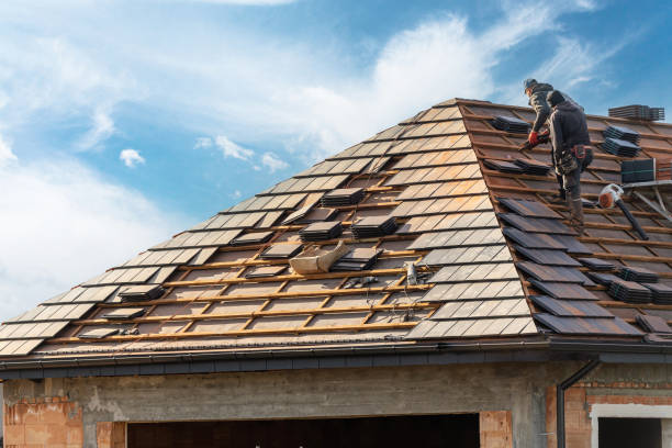 Best Solar Panel Roofing Installation  in Hampton, GA